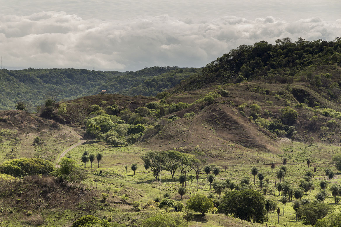 La región del llamado Bosque Seco, área territorial tica que se contrapone a la foresta pluvial. Flickr.com/Angus Chan