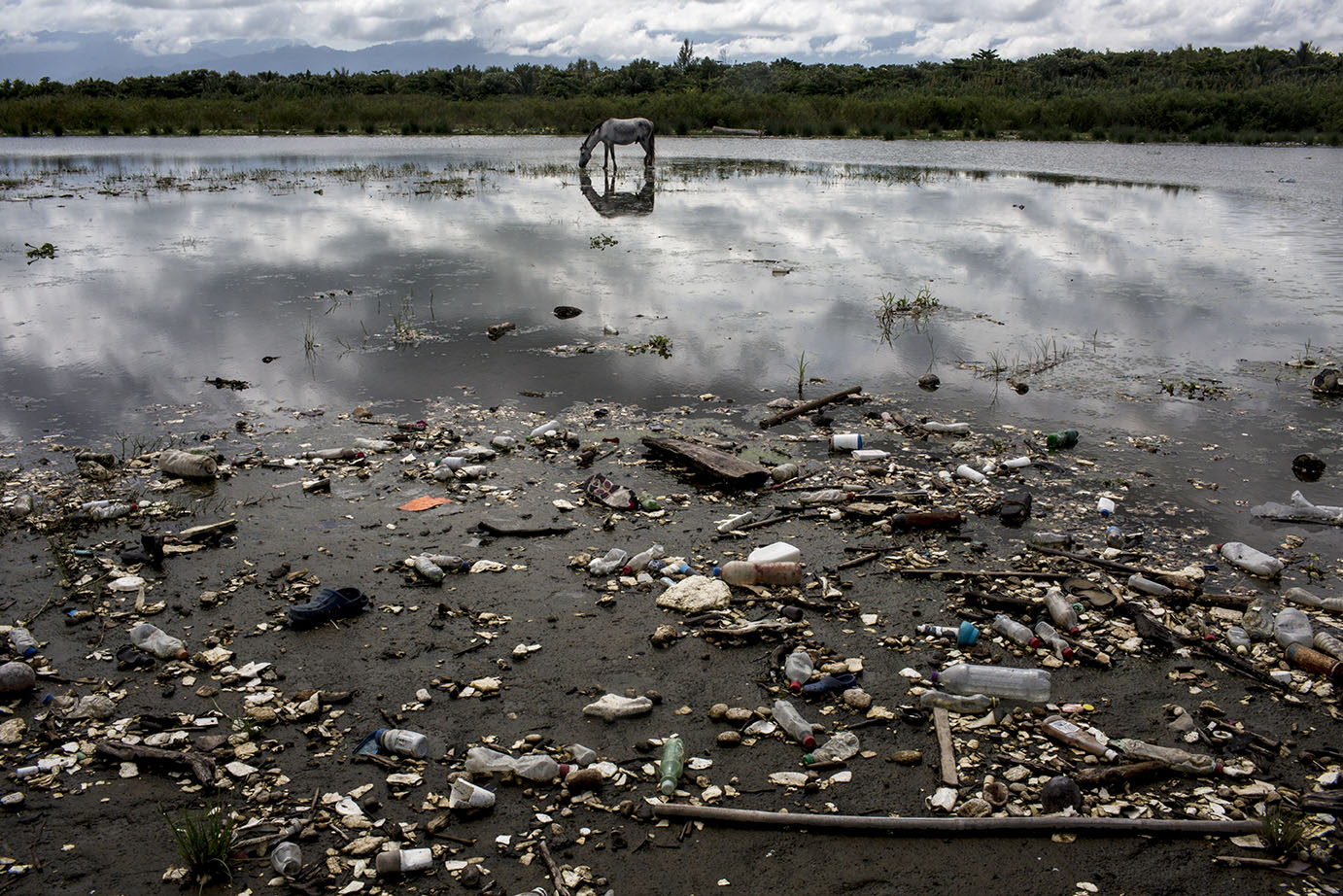 Un caballo pasta en la playa donde desemboca el río Motagua, a la par de los desechos de plástico traídos por el río. Simone Dalmasso