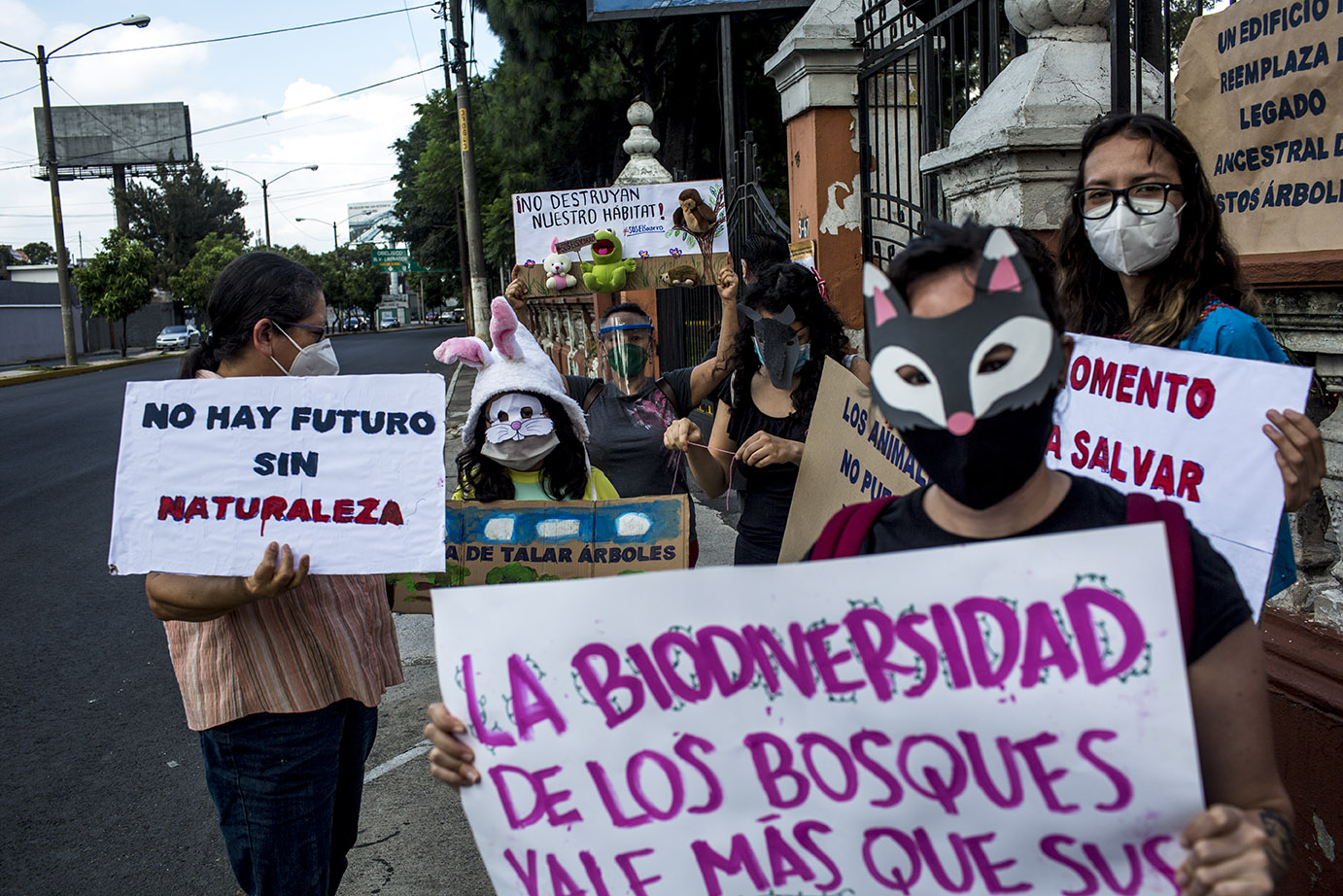 Estudiantes y activistas manifiestan frente a la sede del Ministerio de Ambiente y Recursos Naturales - MARN - en contra de la tala en El Socorro, el martes 27 de octubre. Simone Dalmasso
