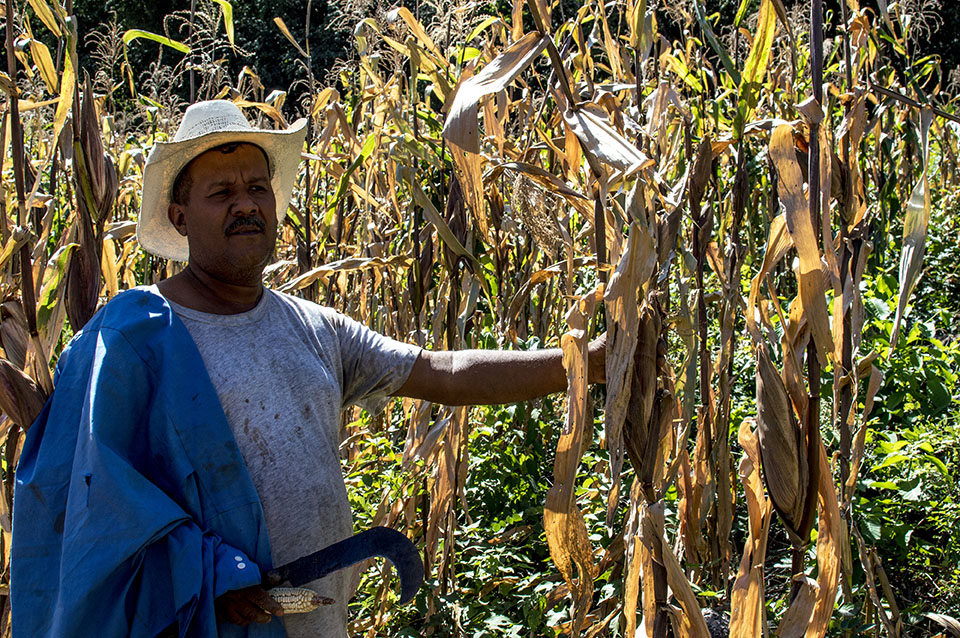 Apolonio Ortiz muestra con orgullo el maíz que ha logrado cosechar gracias a medidas de adaptación al cambio climático. Jeff Ernst