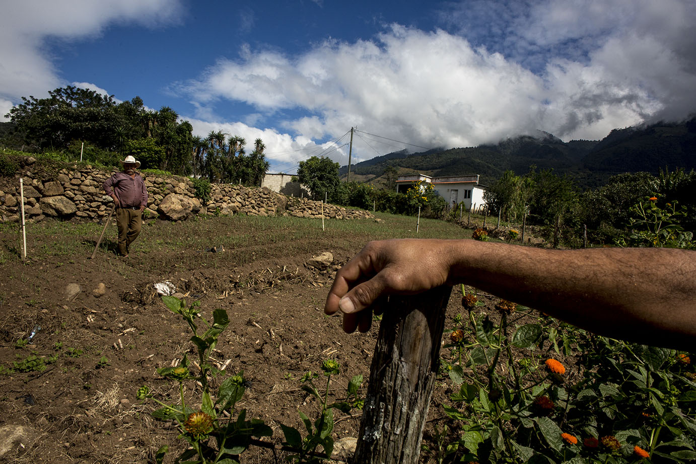 Un campo en el área del municipio de San Rafael las Flores, distinguido por la producción de café de exportación. Simone Dalmasso