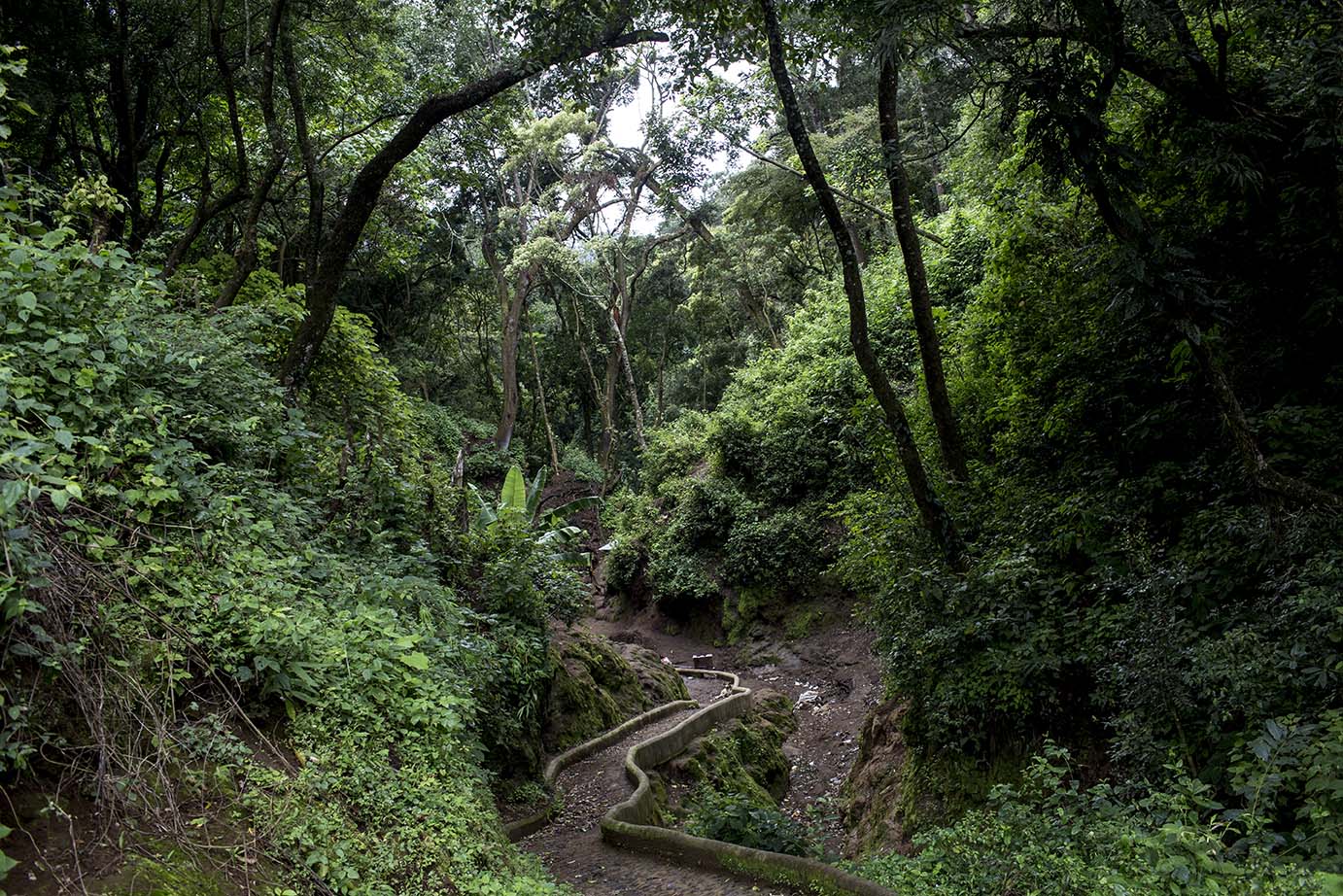 El acceso a las pilas de Vuelta Grande, al fondo de la comunidad, destaca por la vegetación exuberante y lo seco que está el río. Simone Dalmasso